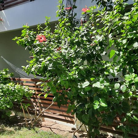 Вілла Casa Betti Жижока-ді-Жерікуакуара Екстер'єр фото